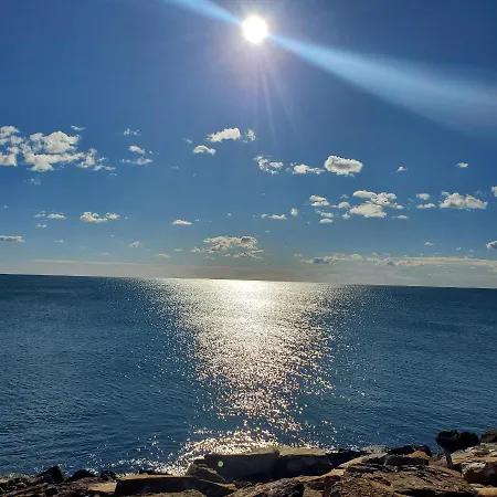 In Cozy & Sea * 托雷维耶哈